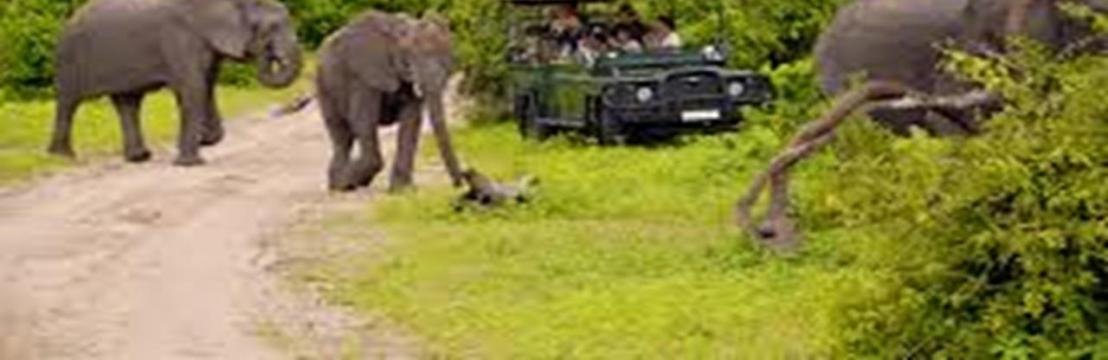 Asante Travel Group