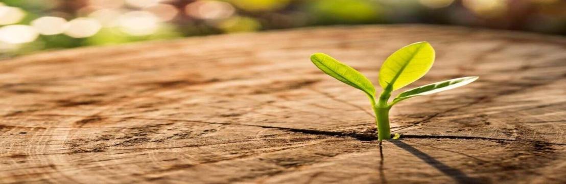 i accountant Chartered Accountants