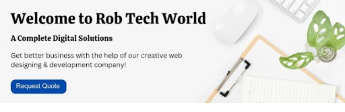 SEO Company  In Zirakpur
