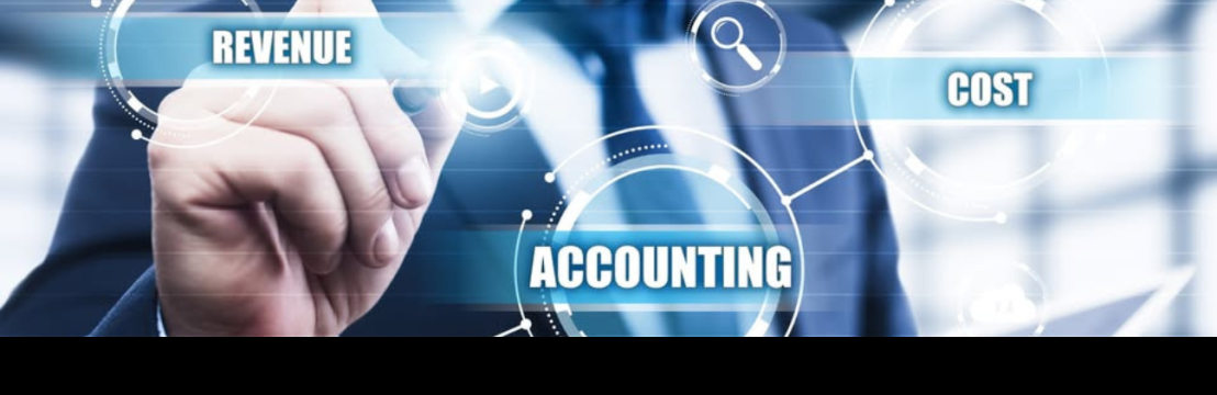 NMP Professional  Services Inc