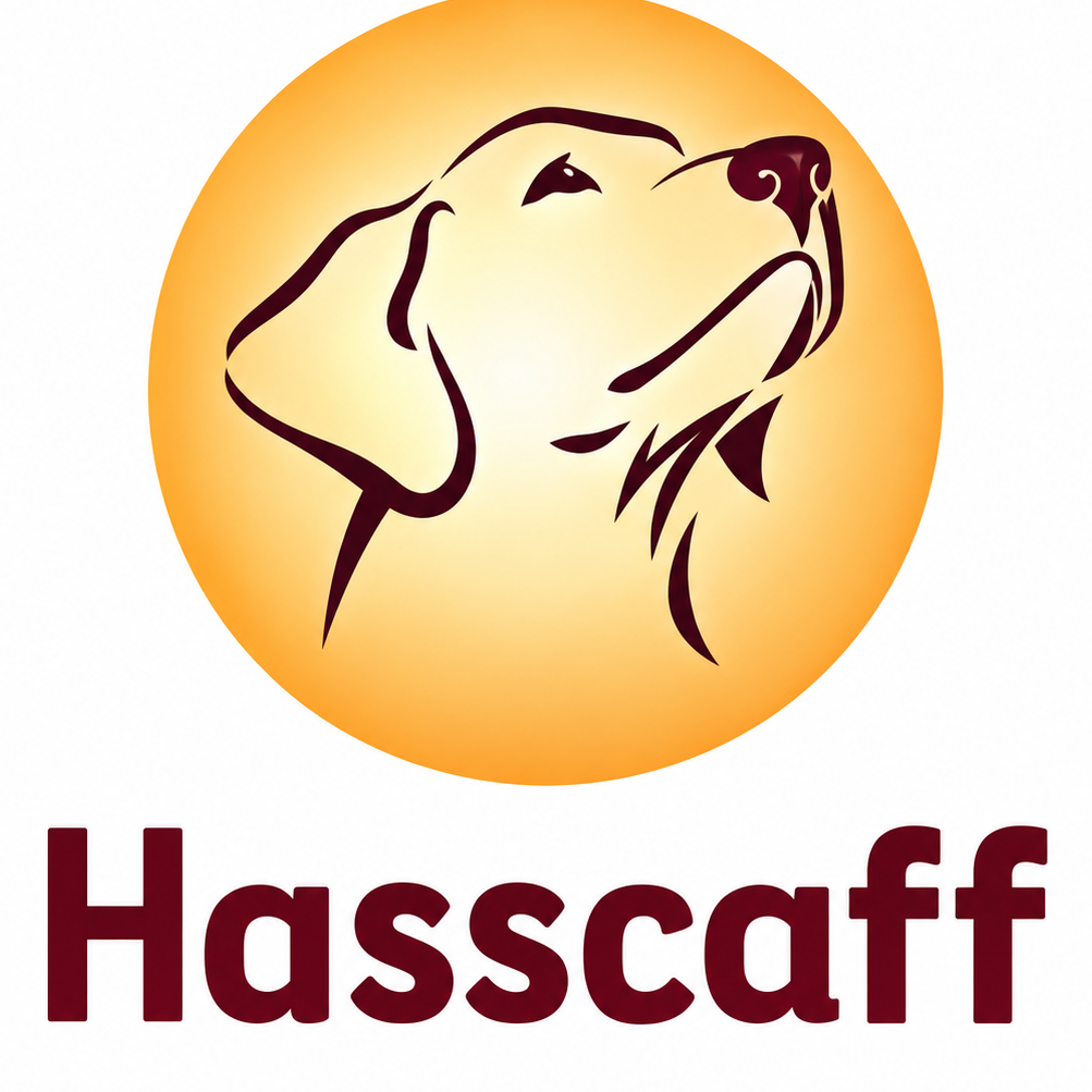 Hasscaff Scaffolding